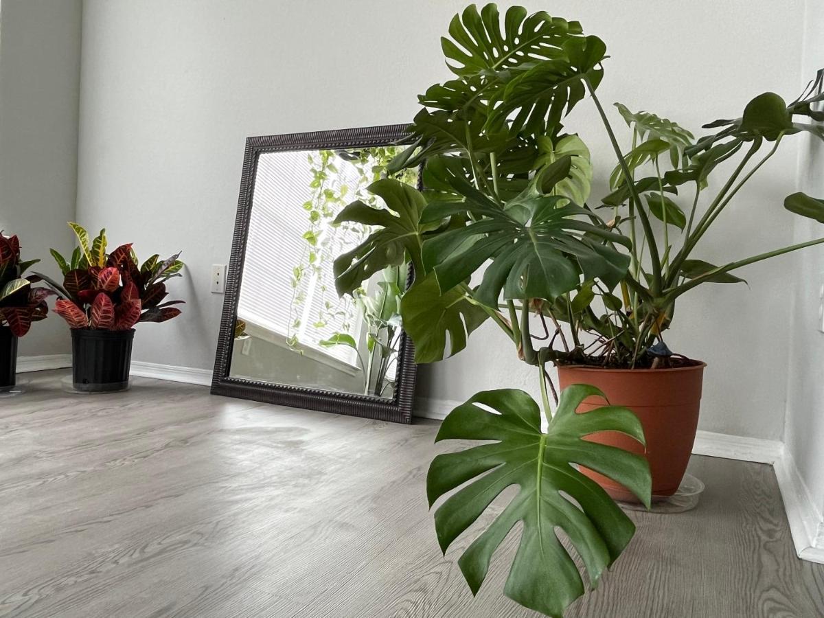 Next To Universal! 2Bedroom-2Bath-Many Indoor Plants Orlando Kültér fotó